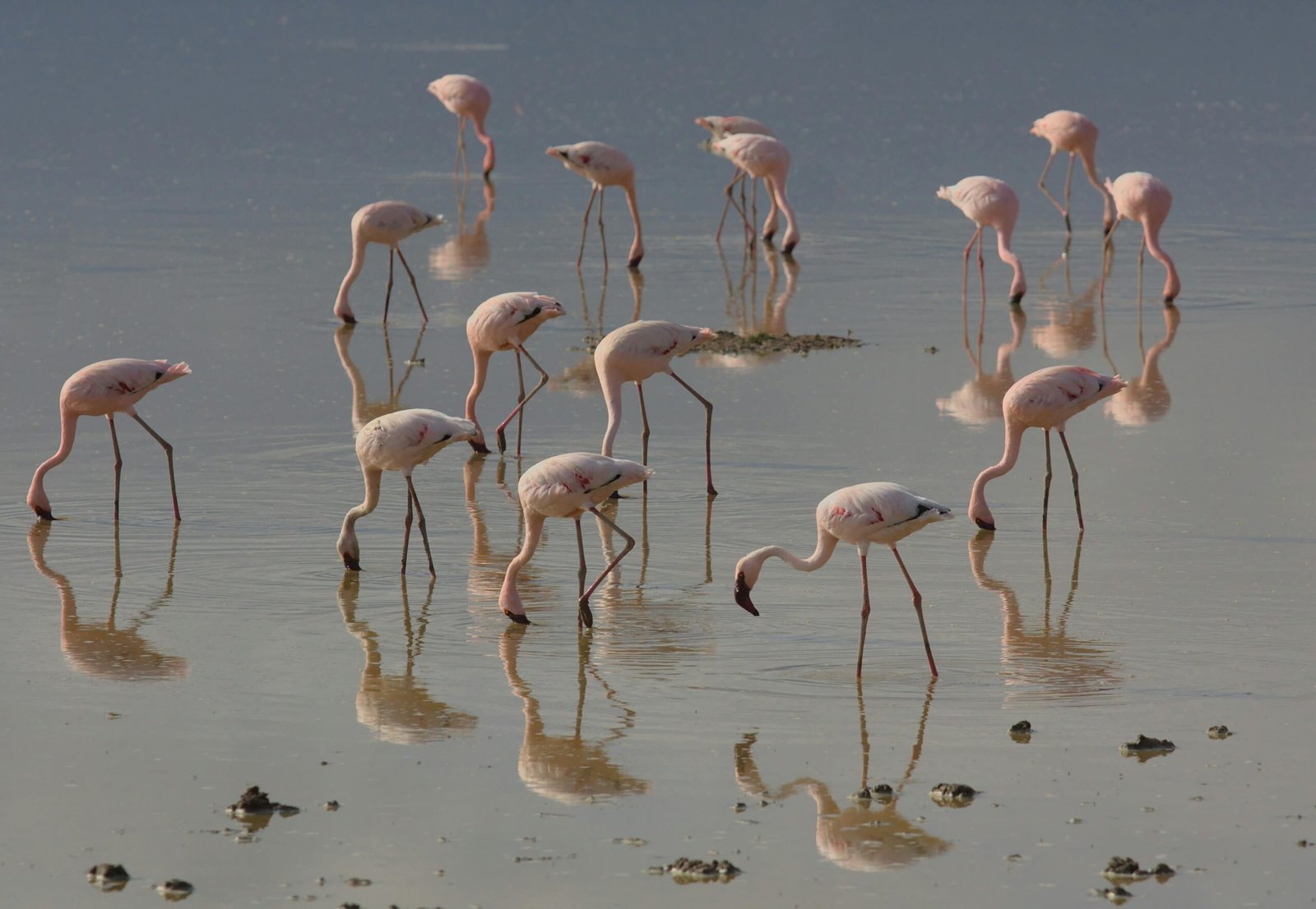 slider-image 
